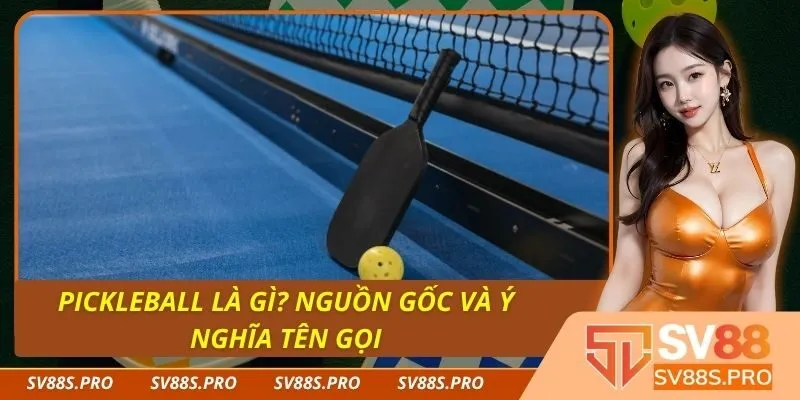 Giới thiệu toàn diện về xổ số 