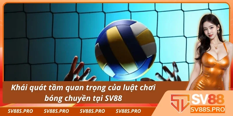 Tầm quan trọng của việc hiểu luật chơi bóng chuyền tại nhà cái SV88