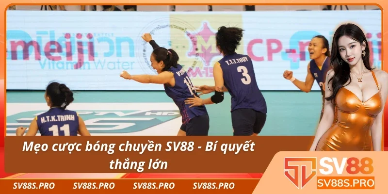 Bí kíp cược bóng chuyền thắng nhanh tại SV88
