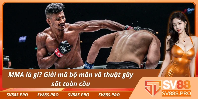 MMA là gì? Tìm hiểu sự thật về võ thuật tổng hợp hiện đại
