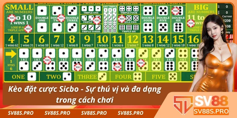 Kèo cược Sicbo là gì và cách đặt cược hiệu quả
