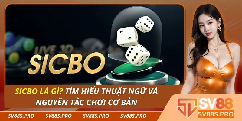 Sicbo Là Gì