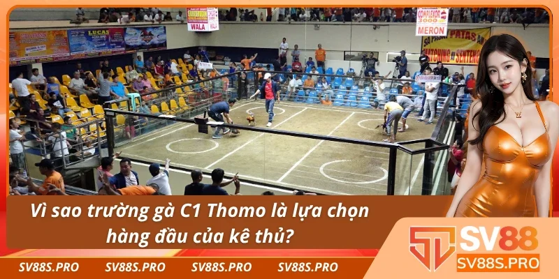 Các yếu tố hấp dẫn giúp sân chơi tạo dấu ấn riêng biệt.