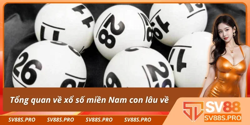 Tìm hiểu về xổ số miền Nam con lâu về